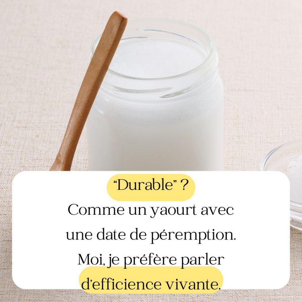 Performance durable vs efficience vivante - Métaphore du yaourt