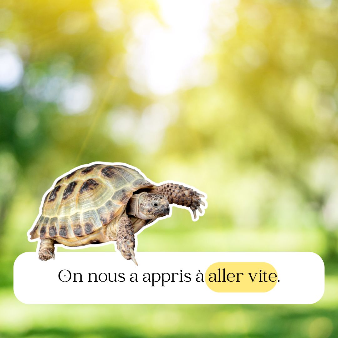 🌿 Le jour où j’ai compris que ma lenteur était en fait de la profondeur