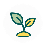 L'expérience entrepreuneuriale